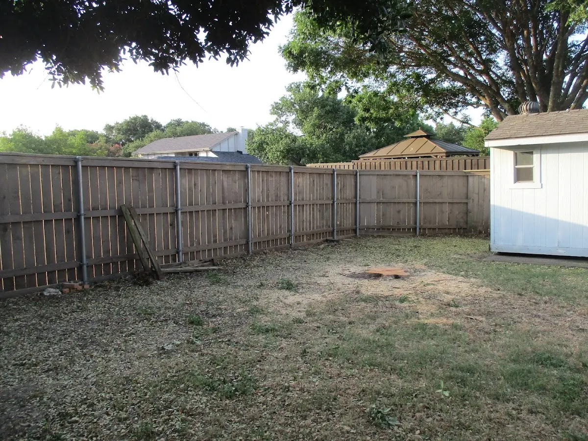 Cleared yard after professional tree removal in Lejunior